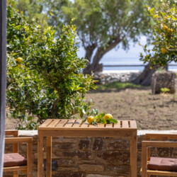 Αυλή με εξωτερική τραπεζαρία και BBQ, περιτριγυρισμένη από δέντρα στο Unforgettable Beach House in Tinos IV