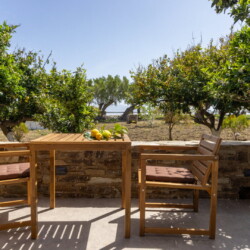 Αυλή με εξωτερική τραπεζαρία και BBQ, περιτριγυρισμένη από δέντρα στο Unforgettable Beach House in Tinos IV