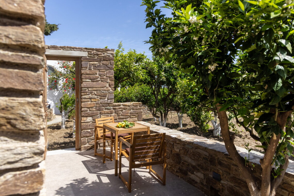 Αυλή με εξωτερική τραπεζαρία και BBQ, περιτριγυρισμένη από δέντρα στο Unforgettable Beach House in Tinos IV